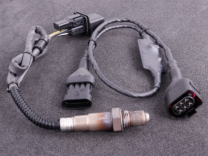 MaxxECU - CAN Wideband LSU4.2