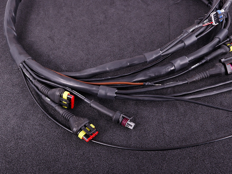MaxxECU - GM LS GEN III/IV RACE ECU + Harness Kit